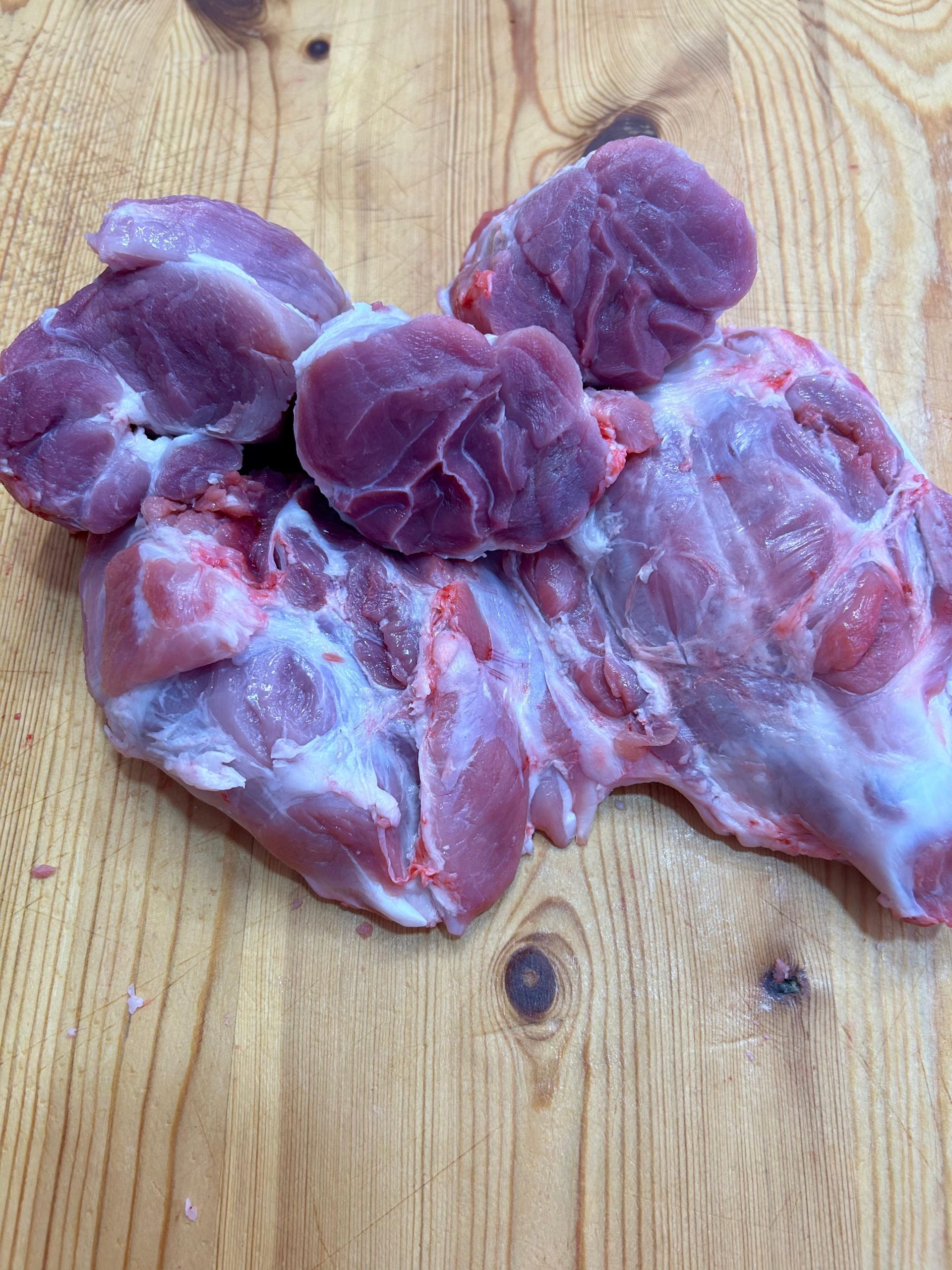 gallinella